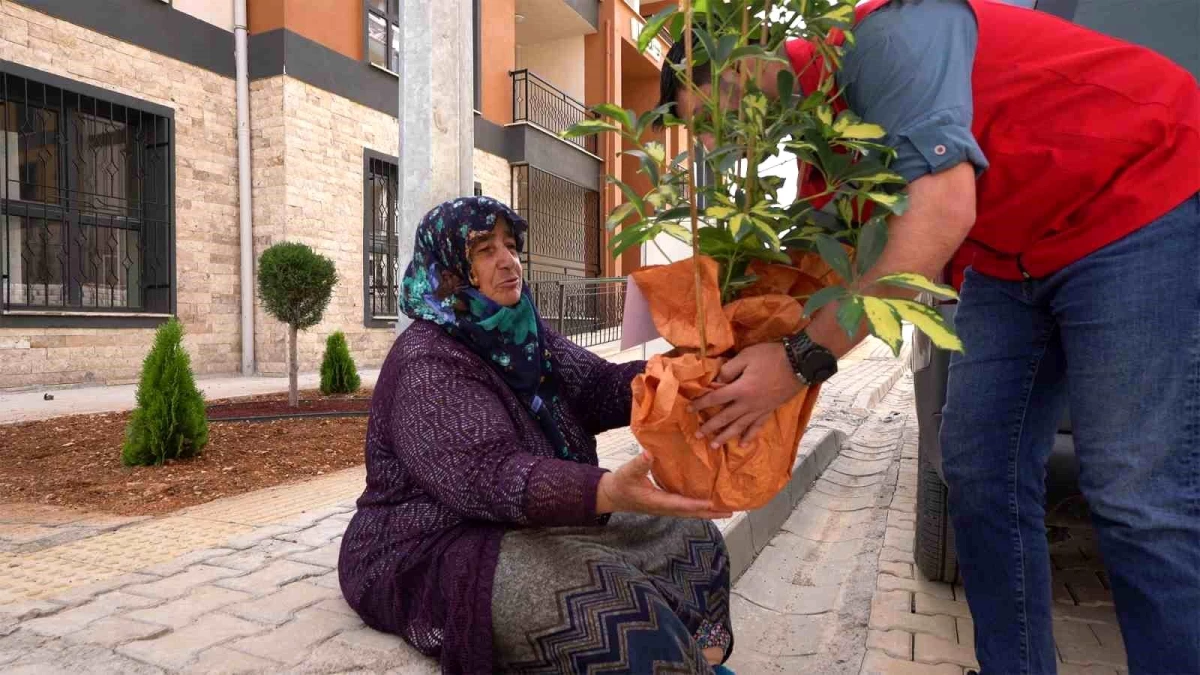 Kahramanmaraş Büyükşehir Belediye Başkanı Fırat Görgel, Depremzedelere Çiçek Hediye Etti